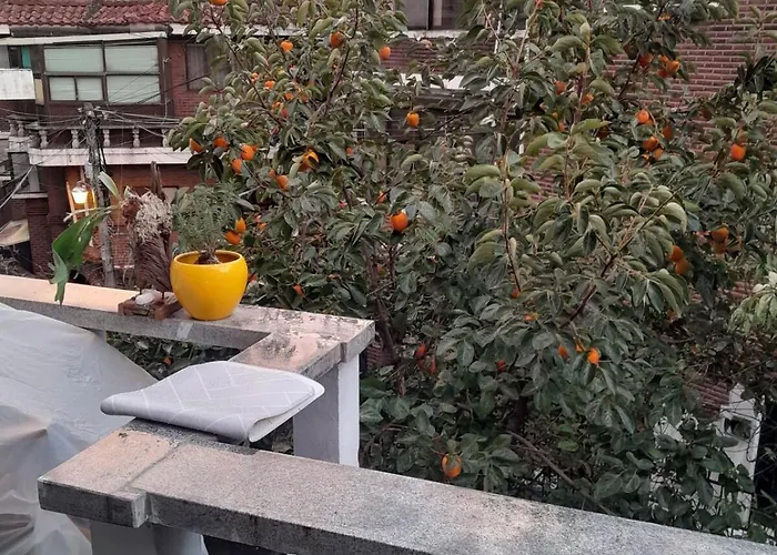 Itaewon Female Only Living With Host * ソウル特別市