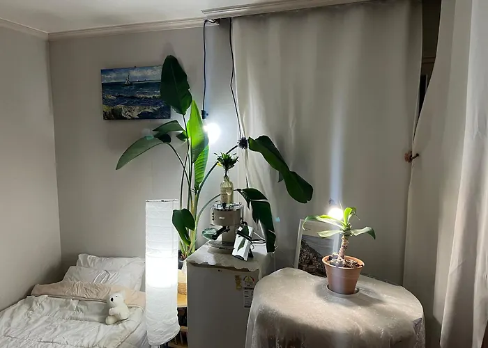 Itaewon Female Only Living With Host ホームステイ ソウル特別市