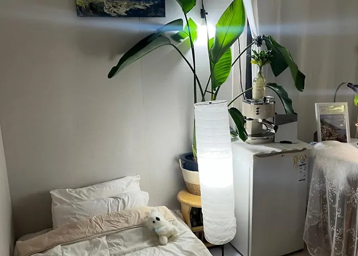 ホームステイ Itaewon Female Only Living With Host