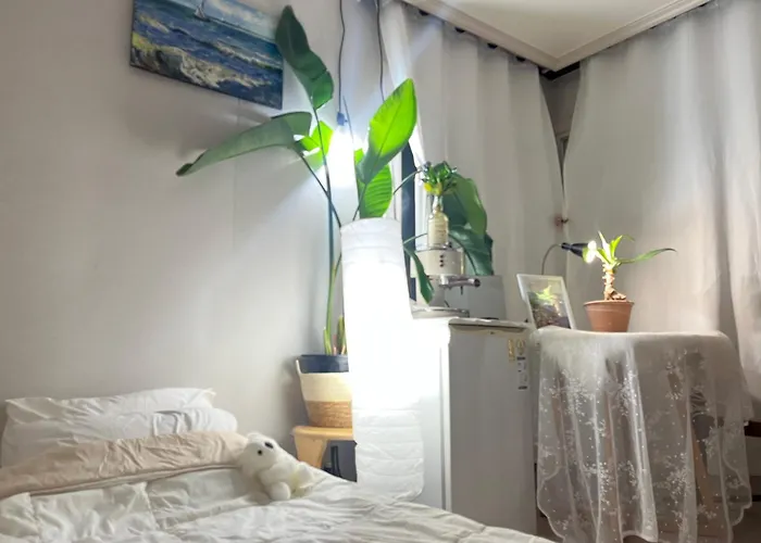 Itaewon Female Only Living With Host ホームステイ ソウル特別市