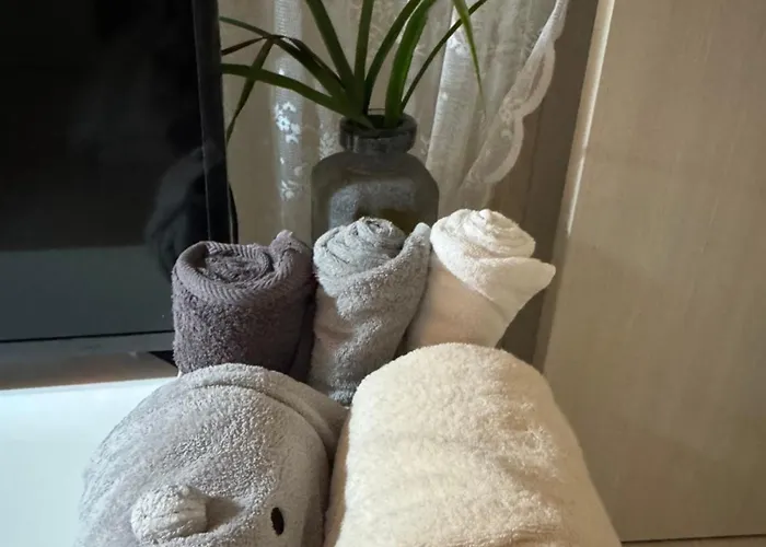 Itaewon Female Only Living With Host * Seul