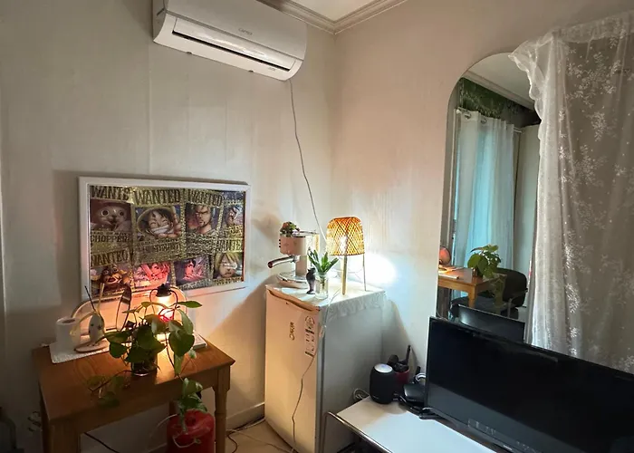 Itaewon Female Only Living With Host