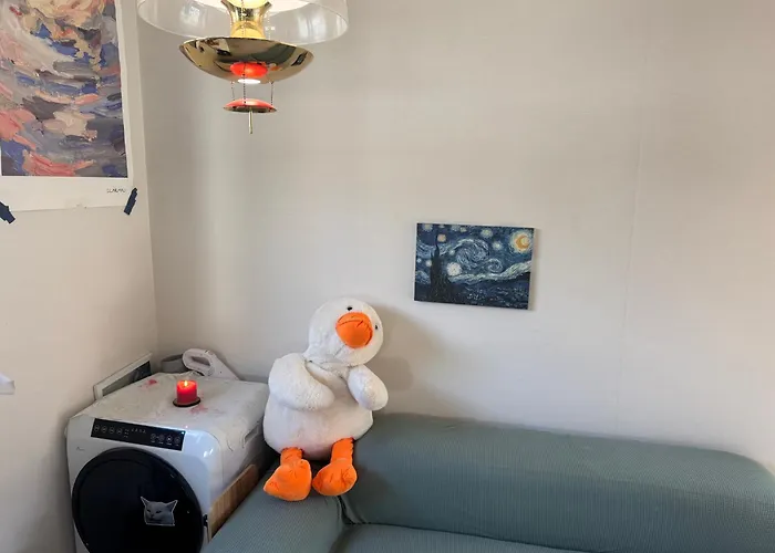 Itaewon Female Only Living With Host Pansiyon Seul